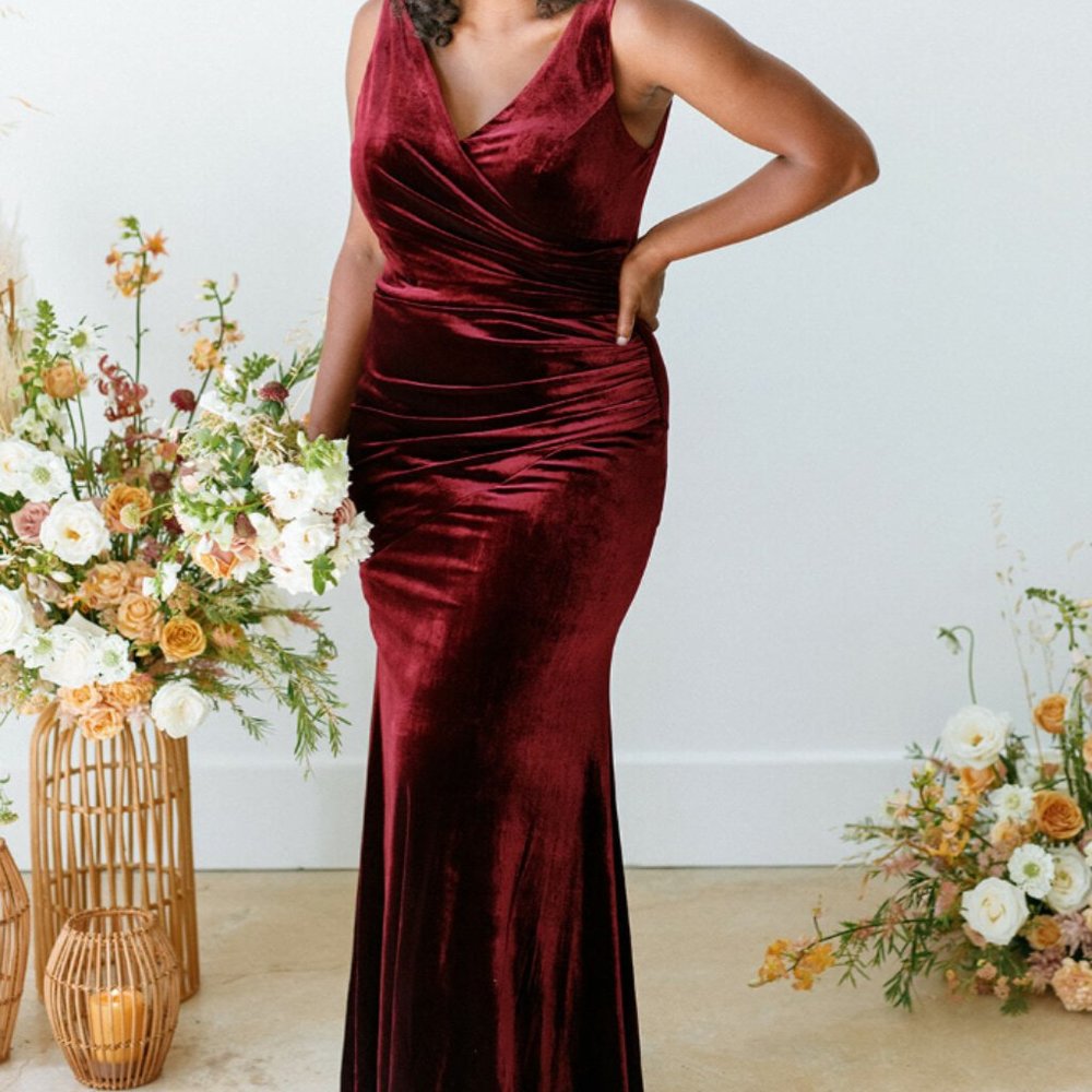 Revelry Dawson Velvet Dress